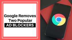 Google Removes Two Popular AdBlockers From Chrome Web Store