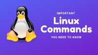 Basic Linux Commands That Every User Should Know | TechBrackets