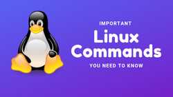 Basic Linux Commands That Every User Should Know