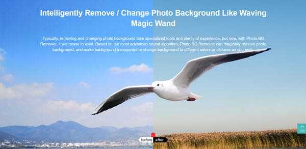 Leawo Photo BG Remover