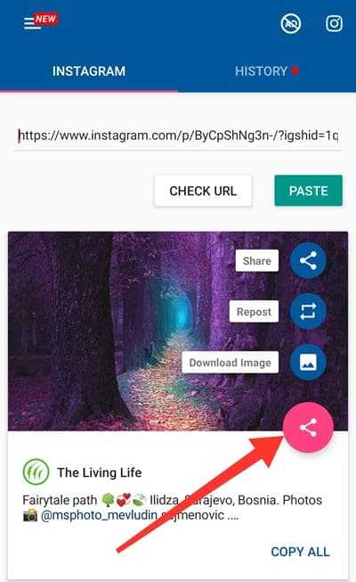 Video Downloader for Instagram Repost