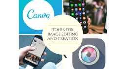 6 Best Tools for Image Editing and Creation in 2021