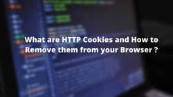 What are Cookies and How to Delete Cookies from your Browser