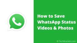 How to Save WhatsApp Status Videos and Photos in 2020